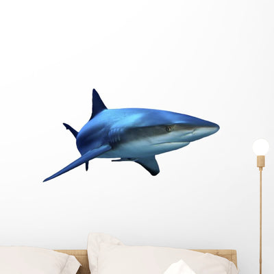 Grey Reef Shark Wall Decal shown on a wall