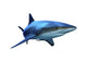 Grey Reef Shark Wall Decal