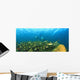 A School Of Fish Underwater Wall Mural