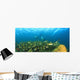 A School Of Fish Underwater Wall Mural