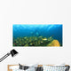 A School Of Fish Underwater Wall Mural