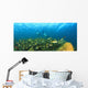 A School Of Fish Underwater Wall Mural