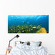 A School Of Fish Underwater Wall Mural