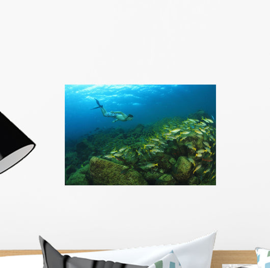 School Of Fish Underwater Wall Mural