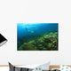 School Of Fish Underwater Wall Mural