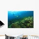 School Of Fish Underwater Wall Mural