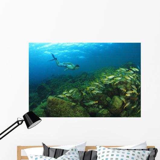 School Of Fish Underwater Wall Mural
