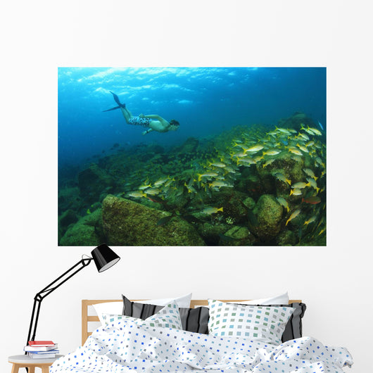 School Of Fish Underwater Wall Mural