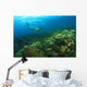 School Of Fish Underwater Wall Mural