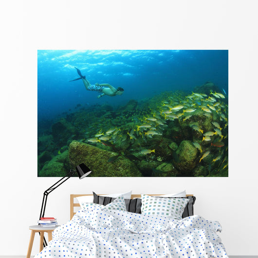 School Of Fish Underwater Wall Mural