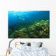 School Of Fish Underwater Wall Mural