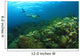 School Of Fish Underwater Wall Mural