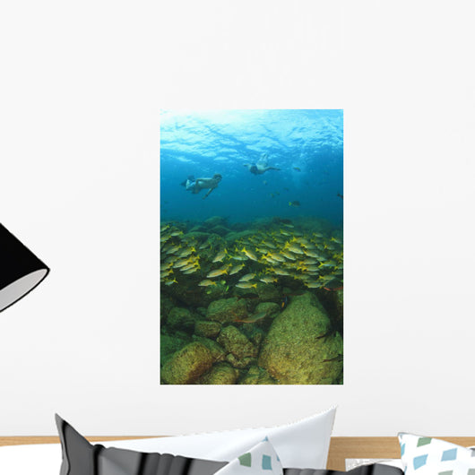School Of Fish Underwater Wall Mural