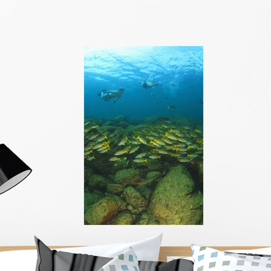 School Of Fish Underwater Wall Mural