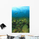 School Of Fish Underwater Wall Mural
