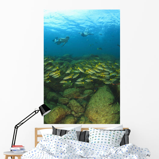 School Of Fish Underwater Wall Mural