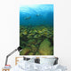 School Of Fish Underwater Wall Mural