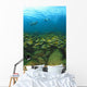 School Of Fish Underwater Wall Mural