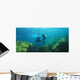 Sea Lions Underwater Wall Mural