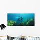 Sea Lions Underwater Wall Mural