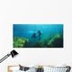 Sea Lions Underwater Wall Mural