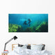 Sea Lions Underwater Wall Mural