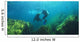 Sea Lions Underwater Wall Mural