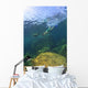 Sea Lion Underwater Wall Mural