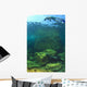Sea Lion Underwater Wall Mural