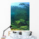 Sea Lion Underwater Wall Mural