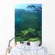Sea Lion Underwater Wall Mural