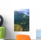 Sea Lion Underwater Wall Mural