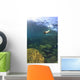 Sea Lion Underwater Wall Mural