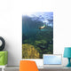 Sea Lion Underwater Wall Mural