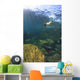 Sea Lion Underwater Wall Mural