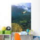 Sea Lion Underwater Wall Mural