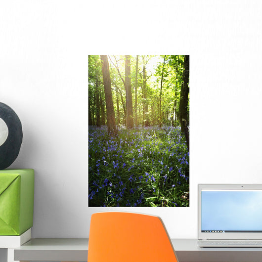 Bluebells Growing On A Forest Floor Wall Mural