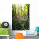Bluebells Growing On A Forest Floor Wall Mural