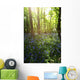 Bluebells Growing On A Forest Floor Wall Mural