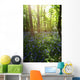 Bluebells Growing On A Forest Floor Wall Mural