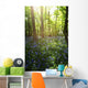 Bluebells Growing On A Forest Floor Wall Mural