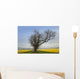 A Lone Tree On The Edge Of A Yellow Field Wall Mural