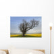 A Lone Tree On The Edge Of A Yellow Field Wall Mural