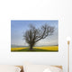 A Lone Tree On The Edge Of A Yellow Field Wall Mural