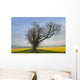 A Lone Tree On The Edge Of A Yellow Field Wall Mural