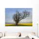 A Lone Tree On The Edge Of A Yellow Field Wall Mural