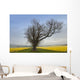 A Lone Tree On The Edge Of A Yellow Field Wall Mural