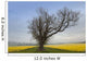 A Lone Tree On The Edge Of A Yellow Field Wall Mural