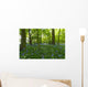 A Forest With Bluebells Wall Mural