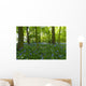 A Forest With Bluebells Wall Mural